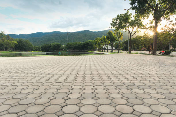 Best Residential Driveway Paver Services  in Lititz, PA